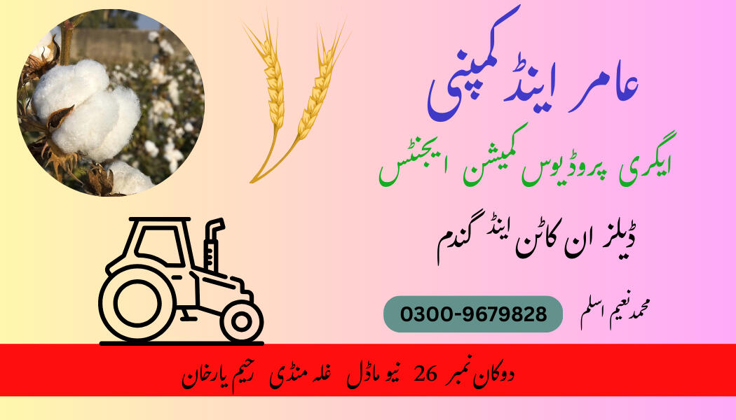 Grain market (Amir and co.)