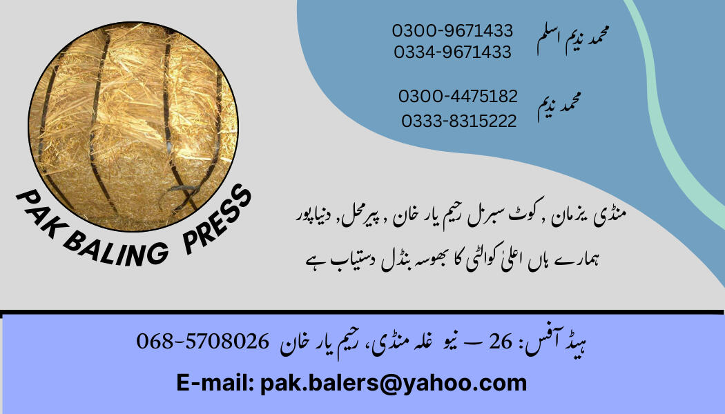 Business card (Bailing Press)